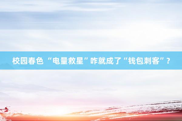 校园春色 “电量救星”咋就成了“钱包刺客”？