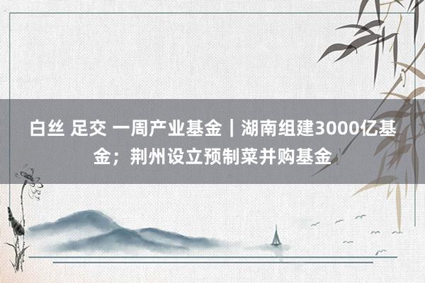 白丝 足交 一周产业基金｜湖南组建3000亿基金；荆州设立预制菜并购基金