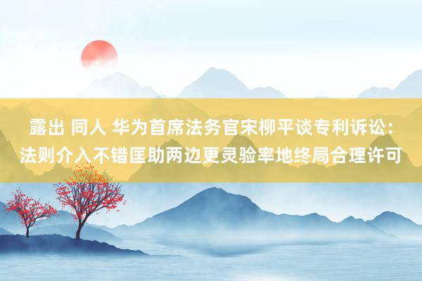 露出 同人 华为首席法务官宋柳平谈专利诉讼：法则介入不错匡助两边更灵验率地终局合理许可