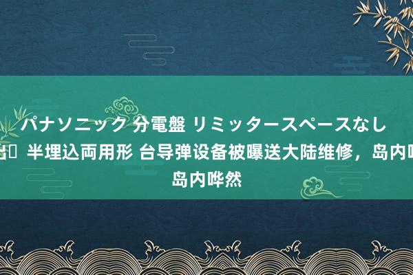 パナソニック 分電盤 リミッタースペースなし 露出・半埋込両用形 台导弹设备被曝送大陆维修，岛内哗然