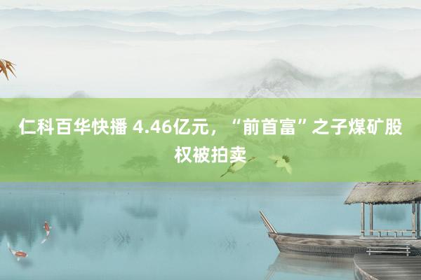 仁科百华快播 4.46亿元，“前首富”之子煤矿股权被拍卖
