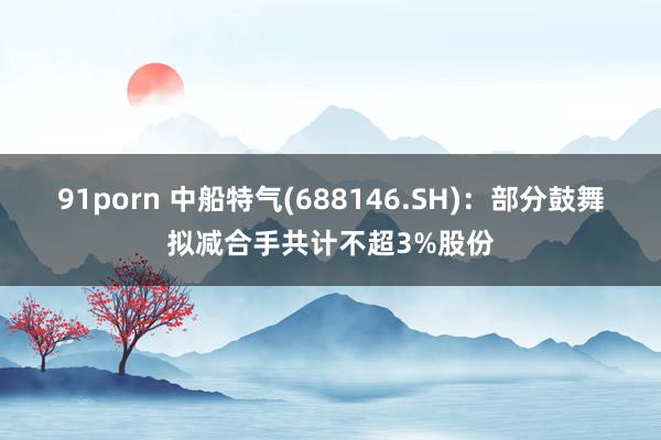 91porn 中船特气(688146.SH)：部分鼓舞拟减合手共计不超3%股份